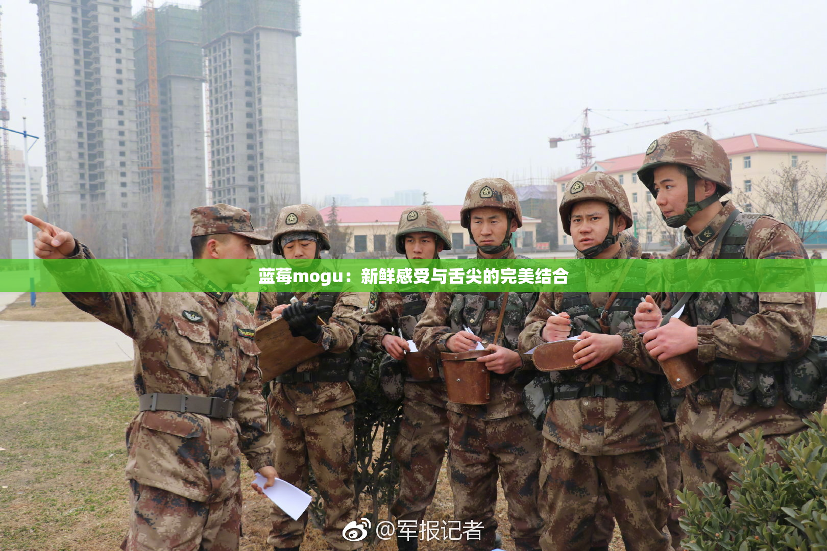 蓝莓mogu：新鲜感受与舌尖的完美结合