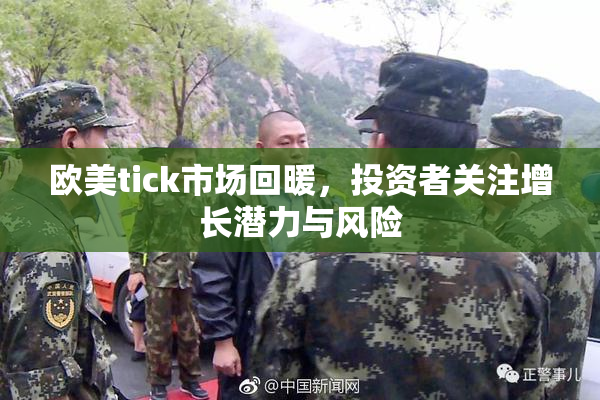 欧美tick市场回暖，投资者关注增长潜力与风险
