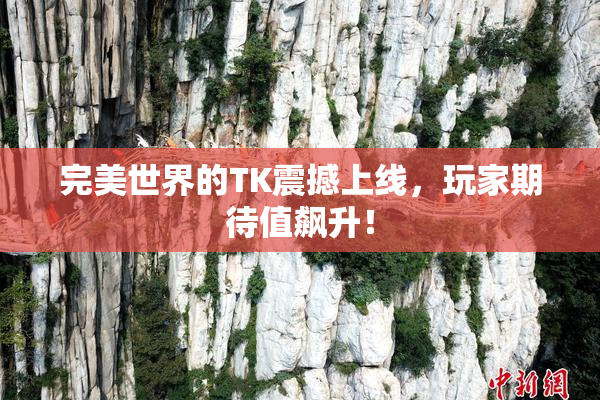 完美世界的TK震撼上线，玩家期待值飙升！