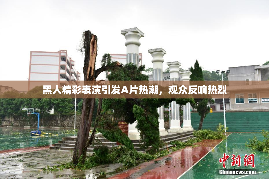 黑人精彩表演引发A片热潮，观众反响热烈