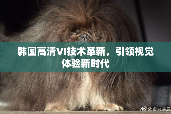 韩国高清VI技术革新，引领视觉体验新时代