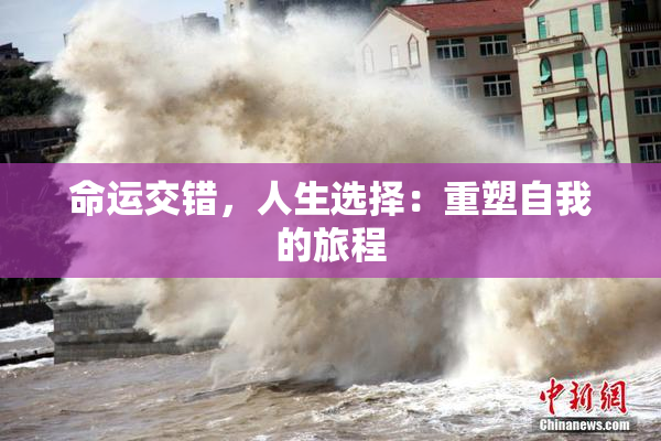 命运交错，人生选择：重塑自我的旅程