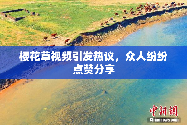 樱花草视频引发热议，众人纷纷点赞分享