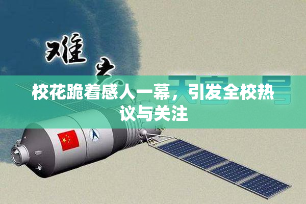 校花跪着感人一幕，引发全校热议与关注