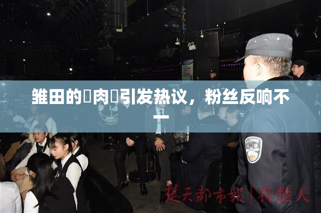 雏田的婬肉泬引发热议，粉丝反响不一