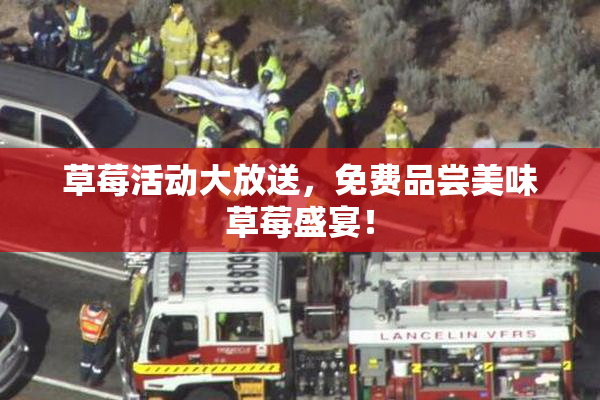 草莓活动大放送，免费品尝美味草莓盛宴！