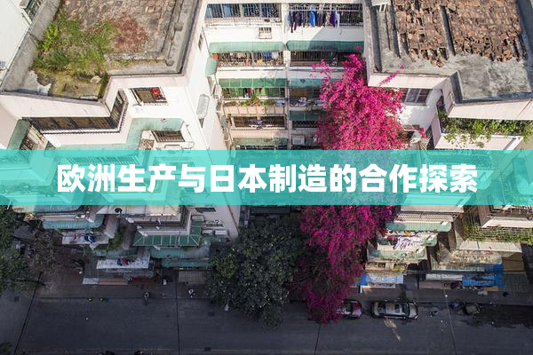 欧洲生产与日本制造的合作探索