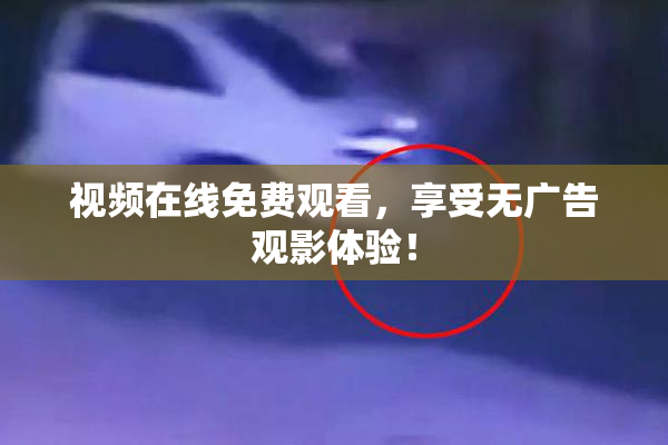 视频在线免费观看，享受无广告观影体验！