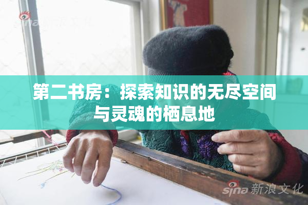 第二书房：探索知识的无尽空间与灵魂的栖息地