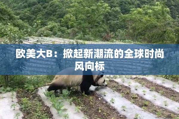 欧美大B：掀起新潮流的全球时尚风向标