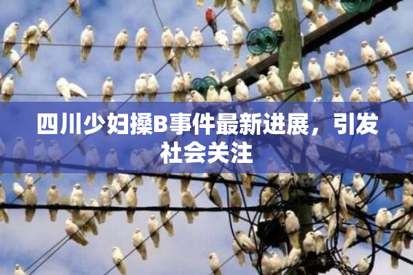 四川少妇搡B事件最新进展，引发社会关注