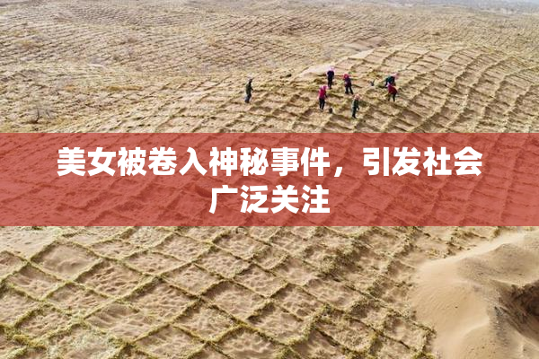 美女被卷入神秘事件，引发社会广泛关注