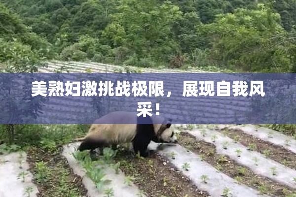 美熟妇激挑战极限，展现自我风采！