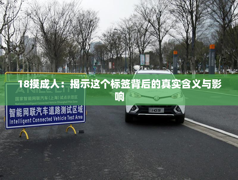 18摸成人：揭示这个标签背后的真实含义与影响