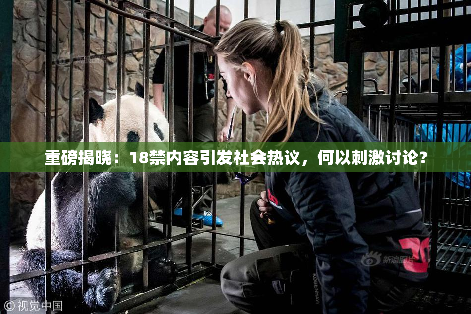 重磅揭晓：18禁内容引发社会热议，何以刺激讨论？