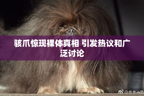 骇爪惊现裸体真相 引发热议和广泛讨论