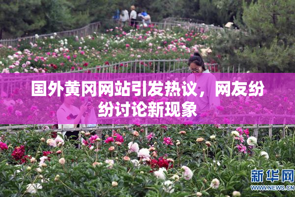 国外黄冈网站引发热议，网友纷纷讨论新现象