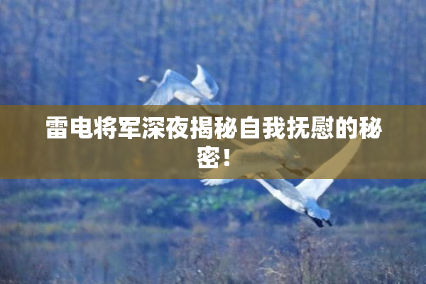 雷电将军深夜揭秘自我抚慰的秘密！