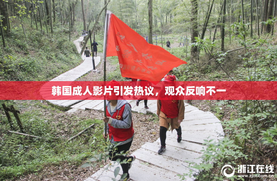 韩国成人影片引发热议，观众反响不一
