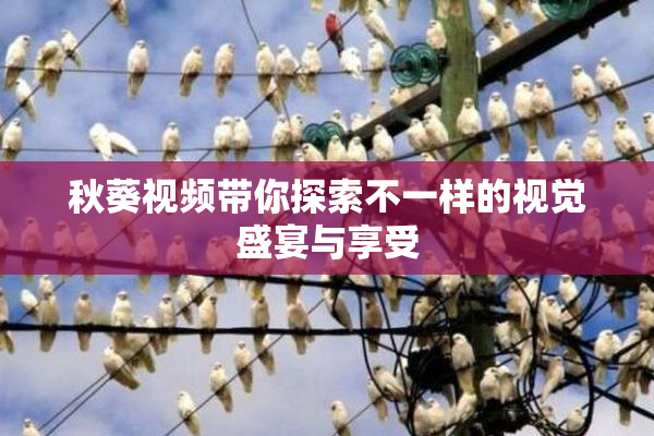 秋葵视频带你探索不一样的视觉盛宴与享受
