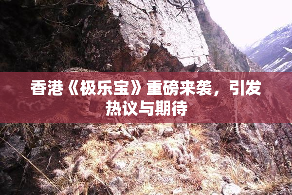香港《极乐宝》重磅来袭，引发热议与期待