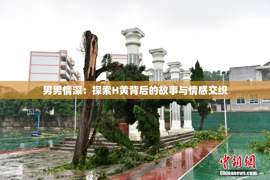 男男情深：探索H黄背后的故事与情感交织
