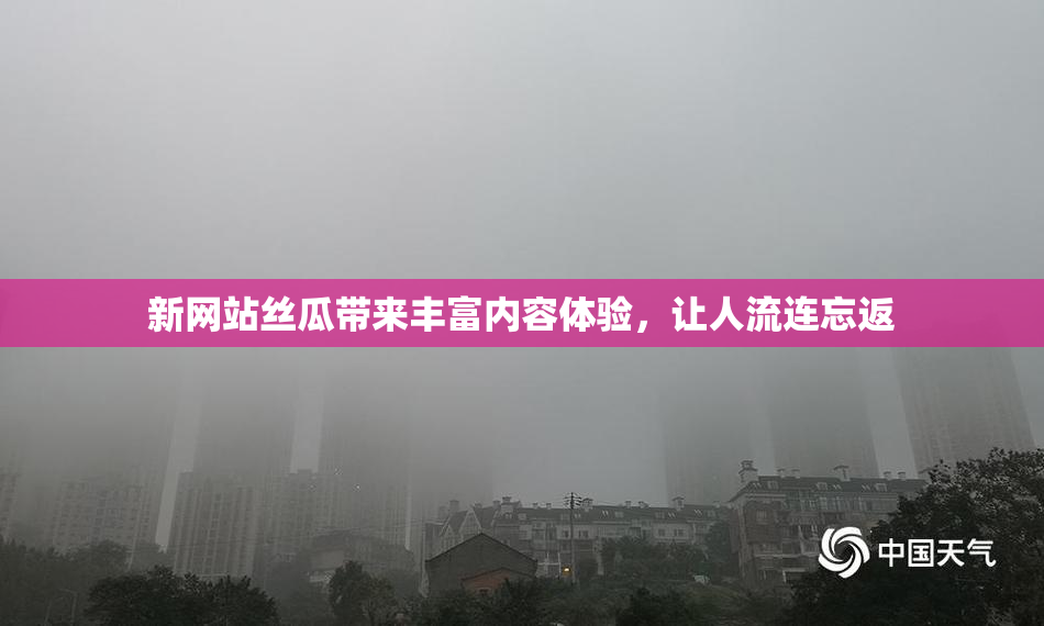新网站丝瓜带来丰富内容体验，让人流连忘返