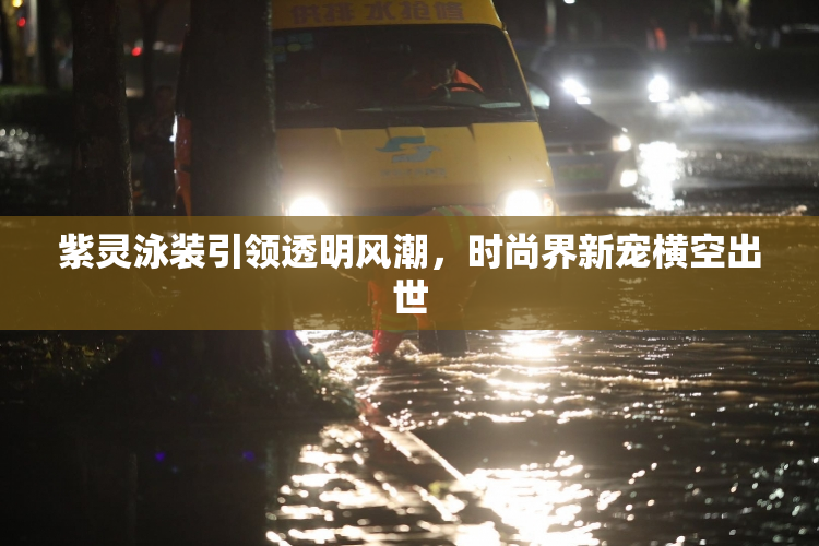 紫灵泳装引领透明风潮，时尚界新宠横空出世