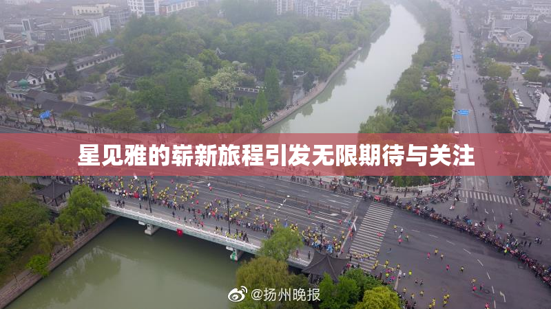 星见雅的崭新旅程引发无限期待与关注