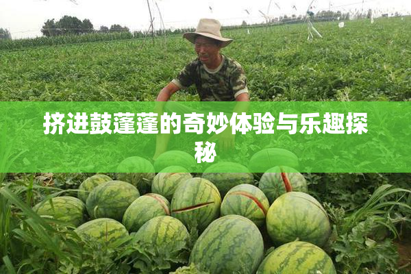 挤进鼓蓬蓬的奇妙体验与乐趣探秘