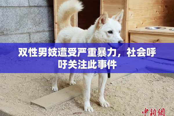 双性男妓遭受严重暴力，社会呼吁关注此事件
