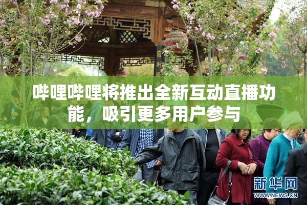 哔哩哔哩将推出全新互动直播功能，吸引更多用户参与