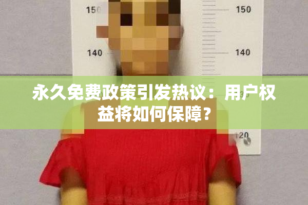 永久免费政策引发热议：用户权益将如何保障？