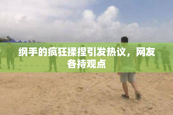 纲手的疯狂揉捏引发热议，网友各持观点