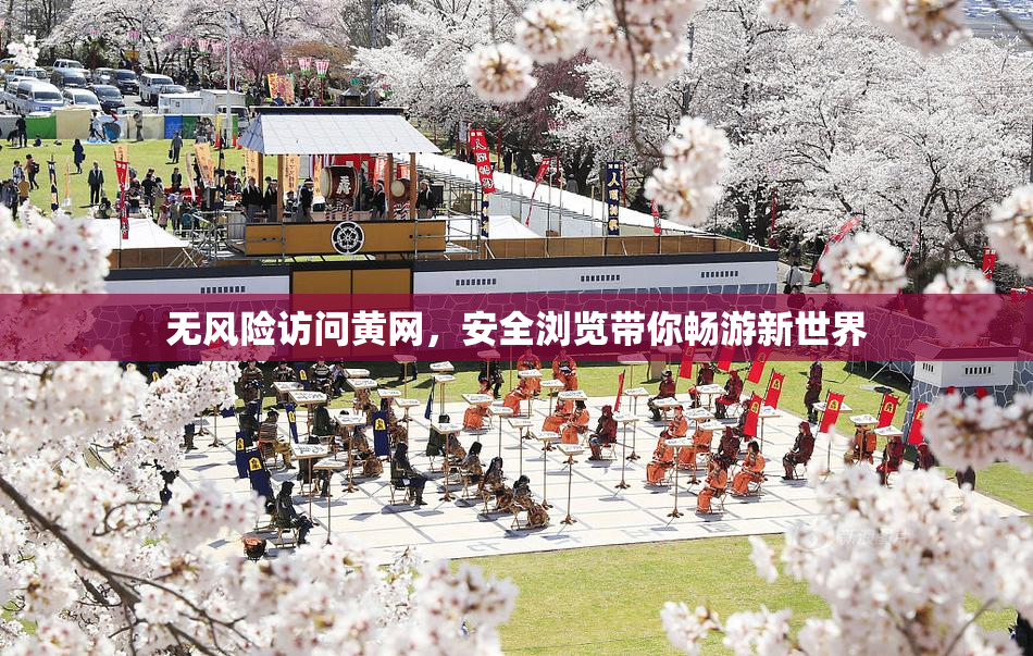 无风险访问黄网，安全浏览带你畅游新世界