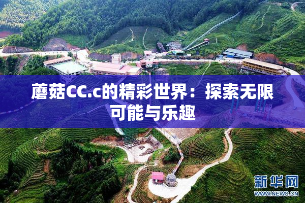 蘑菇CC.c的精彩世界：探索无限可能与乐趣