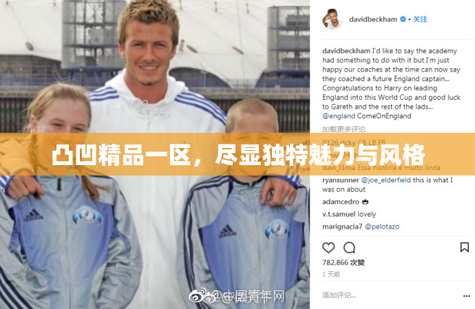 凸凹精品一区，尽显独特魅力与风格