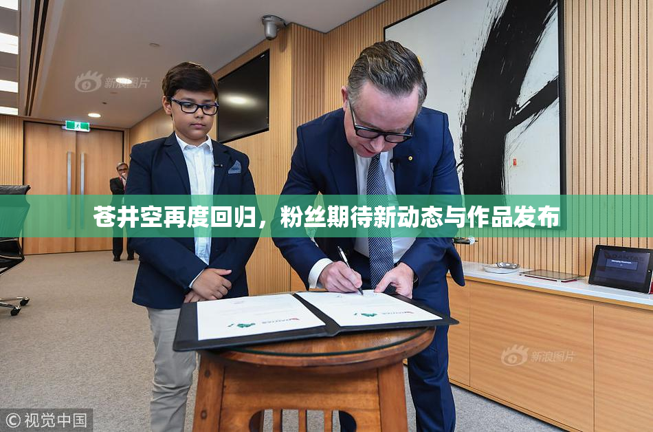 苍井空再度回归，粉丝期待新动态与作品发布