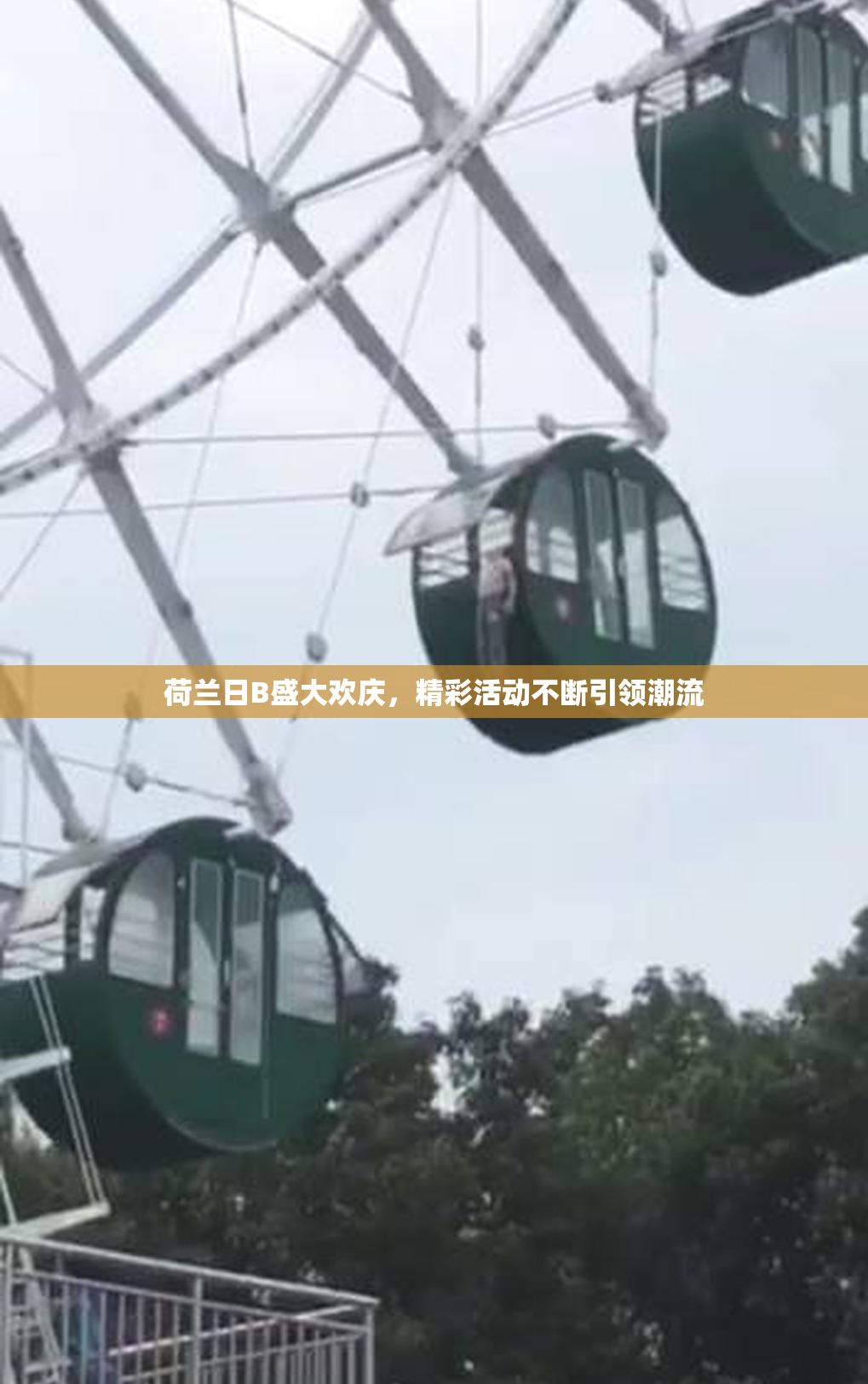 荷兰日B盛大欢庆，精彩活动不断引领潮流