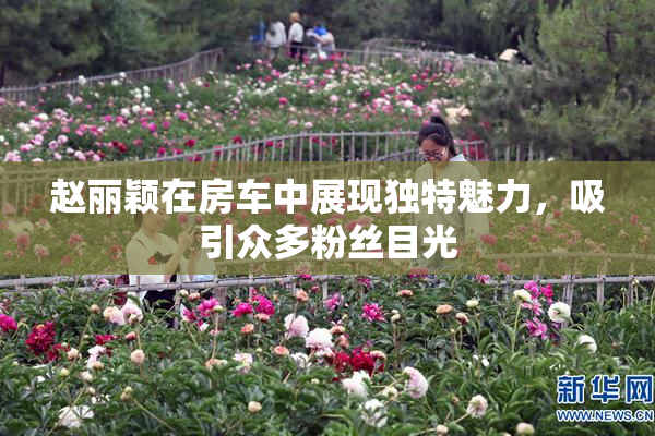 赵丽颖在房车中展现独特魅力，吸引众多粉丝目光