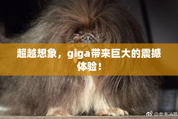 超越想象，giga带来巨大的震撼体验！