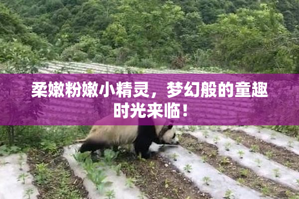 柔嫩粉嫩小精灵，梦幻般的童趣时光来临！
