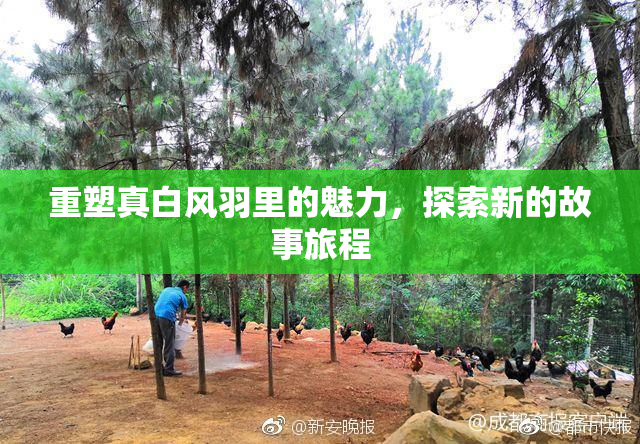 重塑真白风羽里的魅力，探索新的故事旅程
