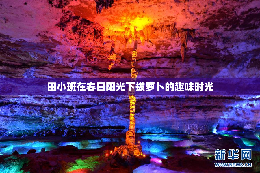 田小班在春日阳光下拔萝卜的趣味时光