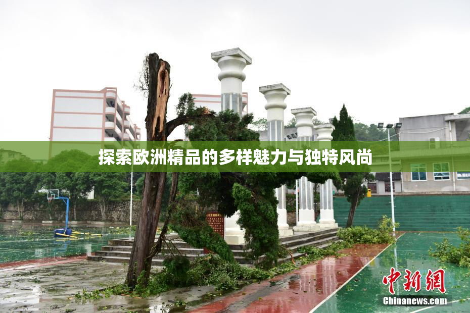 探索欧洲精品的多样魅力与独特风尚
