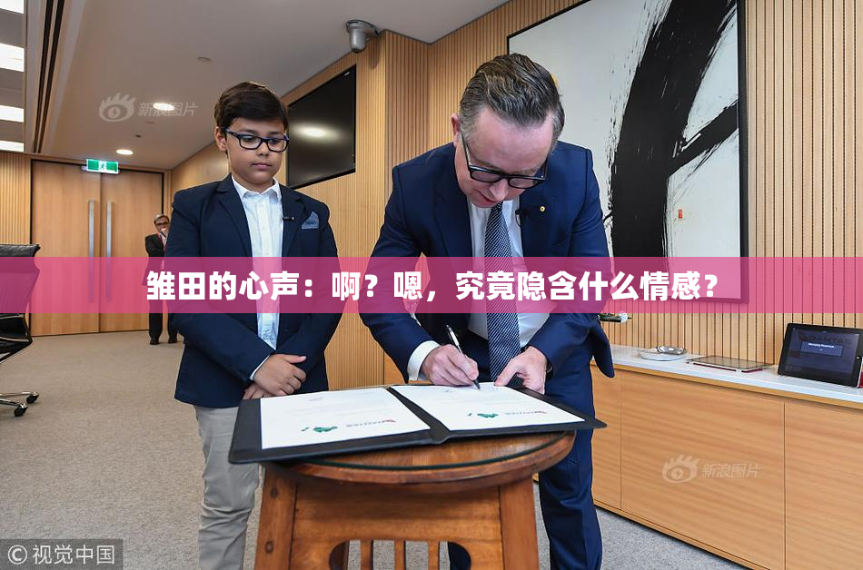 雏田的心声：啊？嗯，究竟隐含什么情感？