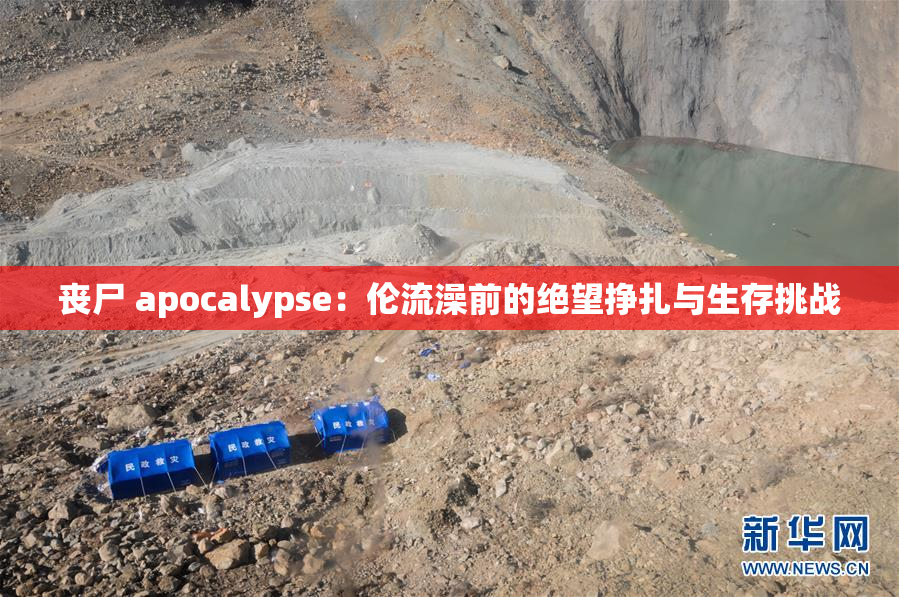 丧尸 apocalypse：伦流澡前的绝望挣扎与生存挑战