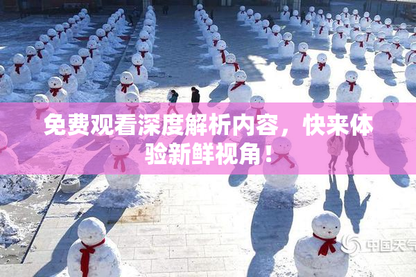 免费观看深度解析内容，快来体验新鲜视角！