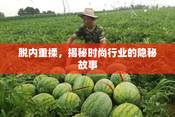 脱内重揉，揭秘时尚行业的隐秘故事