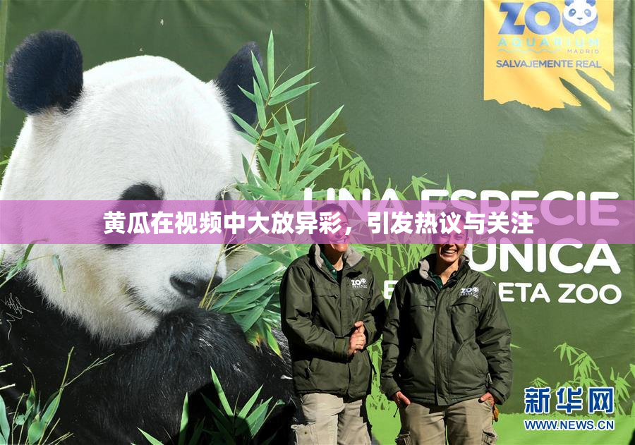 黄瓜在视频中大放异彩，引发热议与关注